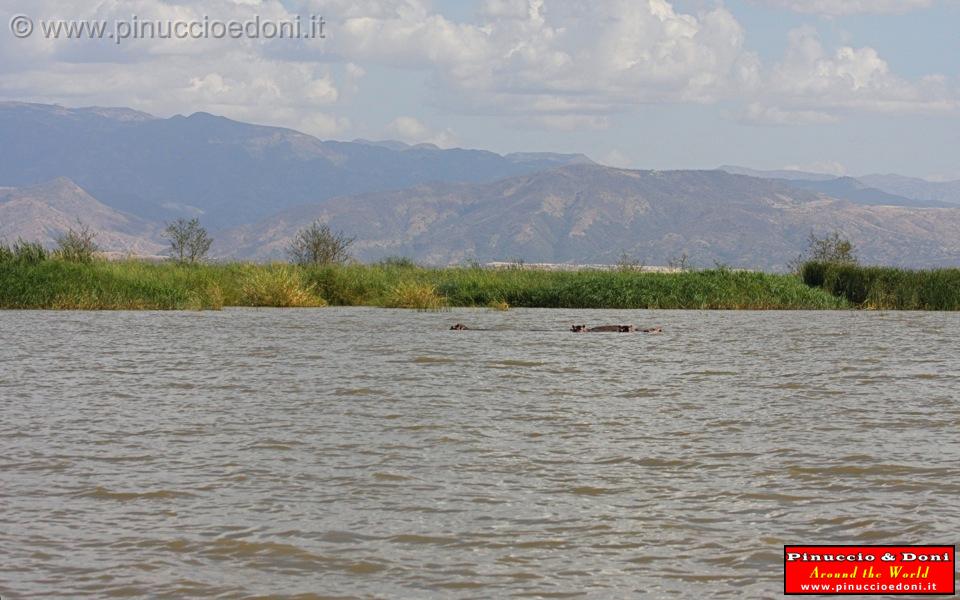 Ethiopia - Lago Chamo - 24.jpg